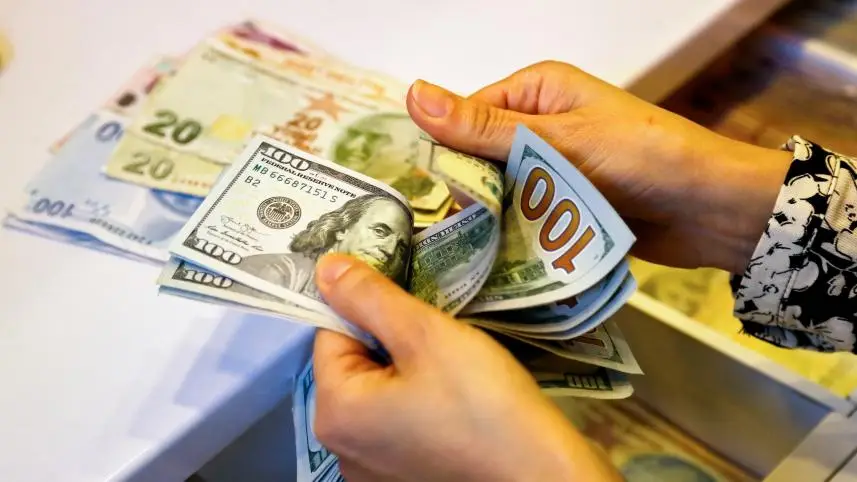 سرگردانی در شعب بانکی؛ ماجرای توقف عرضه دلار سهمیه‌ای با کارت ملی چیست؟